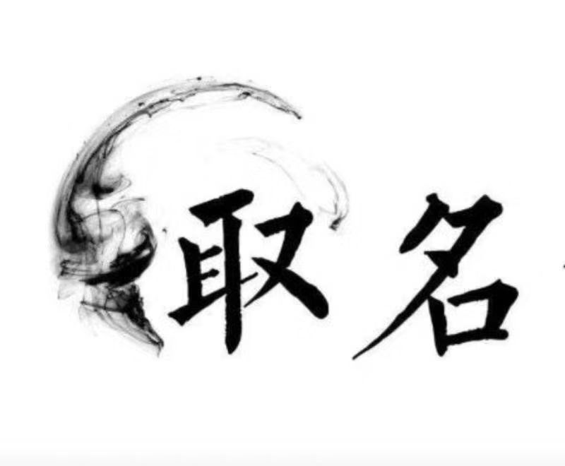  乐业宝宝取名 大师一对一人工起名